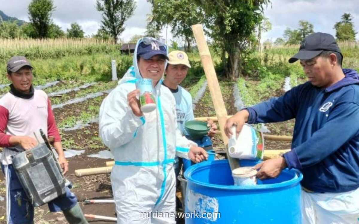 PGE dan UGM Kembangkan Pupuk Ramah Lingkungan Berbasis Panas Bumi untuk Tingkatkan Produktivitas Pertanian