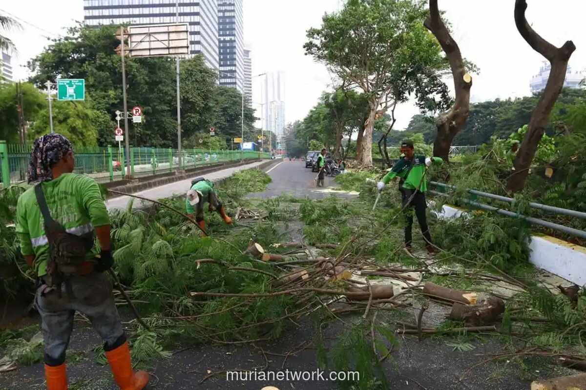 Hujan Deras dan Angin Kencang Tumbangkan Pohon dan Rusak Fasilitas di Ruas Tol Jakarta