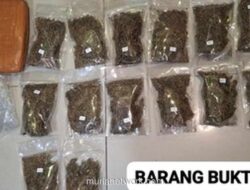 Ditresnarkoba Polda Metro Jaya Sita Lebih dari 6 Kilogram Ganja di Depok