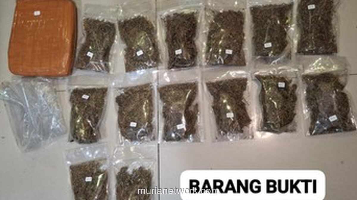 Ditresnarkoba Polda Metro Jaya Sita Lebih dari 6 Kilogram Ganja di Depok