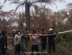 Polisi Tetapkan Tersangka Pembakar Lahan Gambut 500 Hektare di Pelalawan