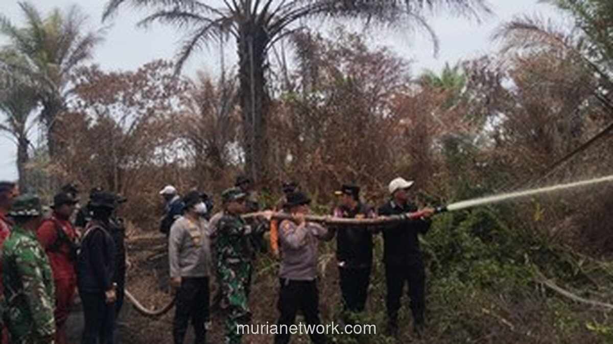 Polisi Tetapkan Tersangka Pembakar Lahan Gambut 500 Hektare di Pelalawan