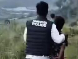 Polres Karo Bongkar Ladang Ganja 75 Batang di Hutan Lindung