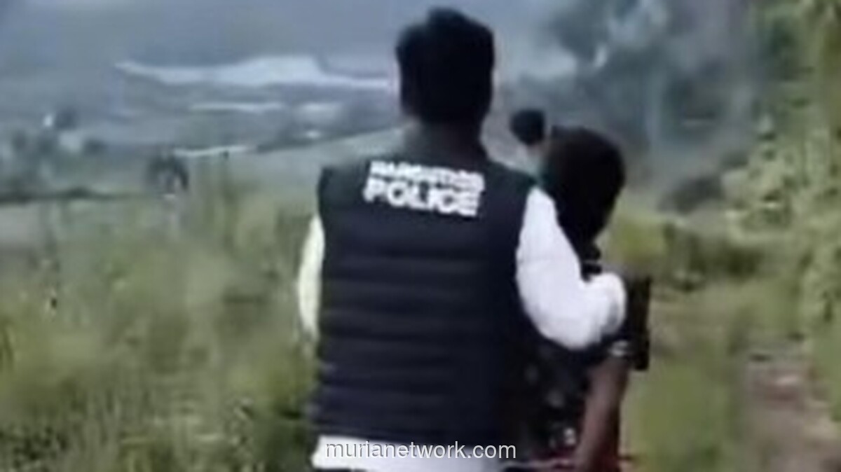 Polres Karo Bongkar Ladang Ganja 75 Batang di Hutan Lindung