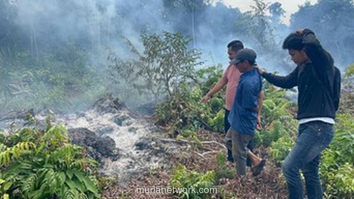 Polisi Tangkap Pria di Bengkalis Diduga Bakar Lahan Setengah Hektar