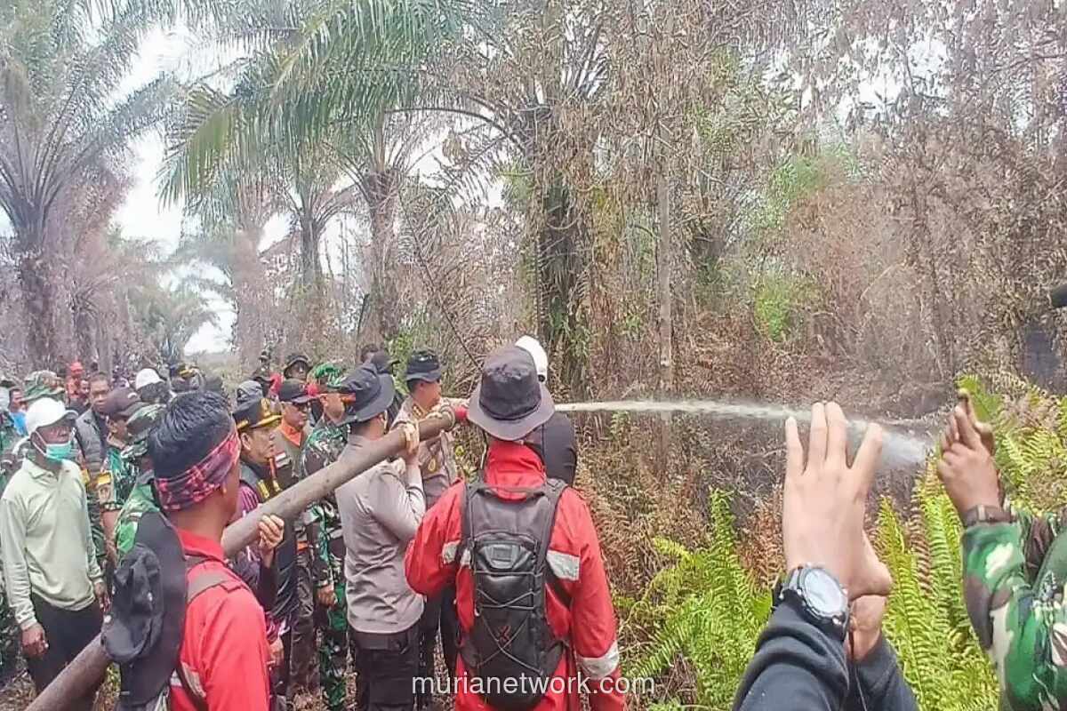 Polres Pelalawan Amankan Pelaku Pembakar Lahan Gambut Seluas 500 Hektare