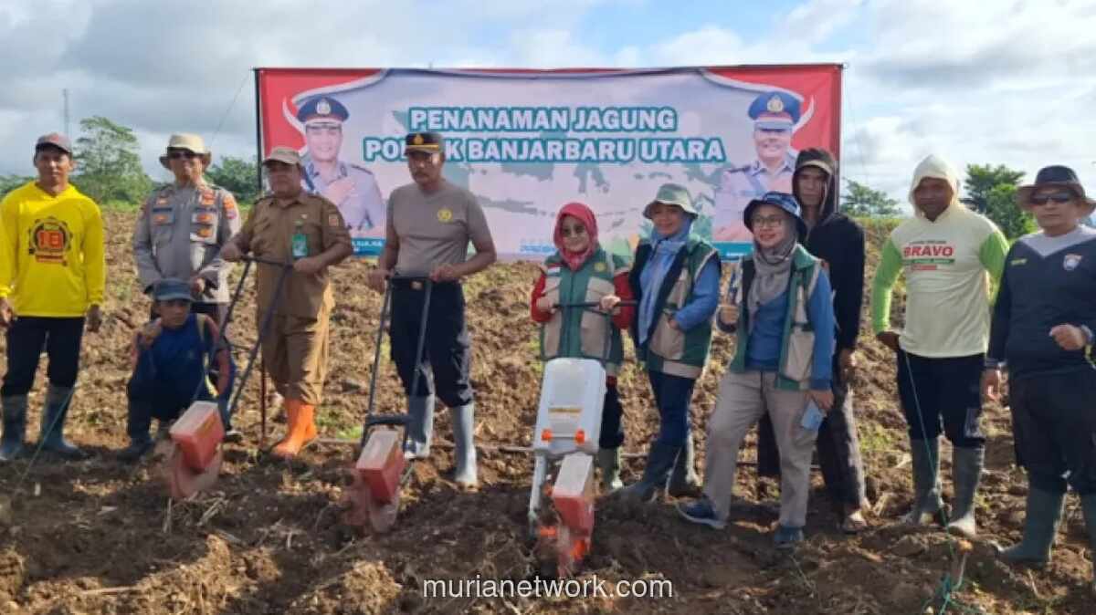 Polisi dan Petani Banjarbaru Garap 30 Hektare Lahan Jagung untuk Ketahanan Pangan