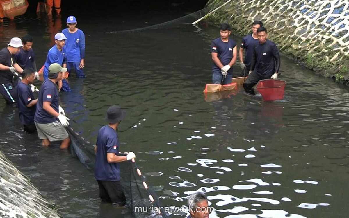 Gubernur DKI Dukung Penangkapan Ikan Sapu-sapu untuk Lindungi Ekosistem Perairan