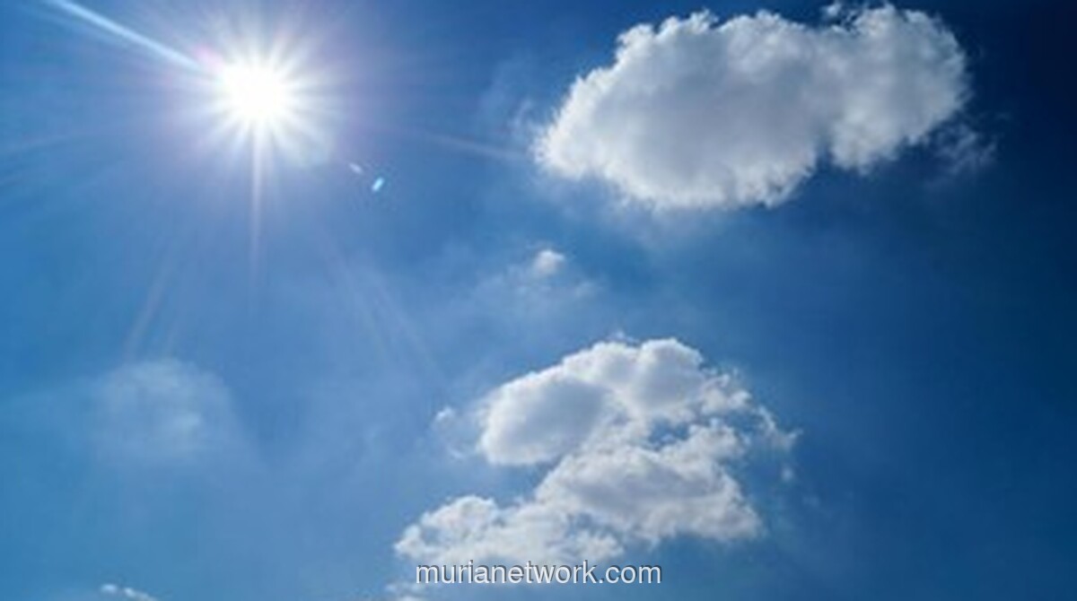 BMKG Prediksi Puncak Kemarau Terjadi Agustus 2026, Wilayah Mulai Kering Bertahap