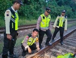 Pria Tanpa Identitas Tewas Tertabrak KA Blambangan Ekspres di Batang
