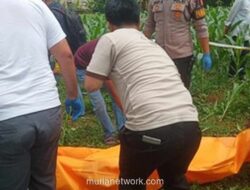 Mayat Pria Tak Dikenal Ditemukan di Kebun Jagung Bogor, Pegang Pisau