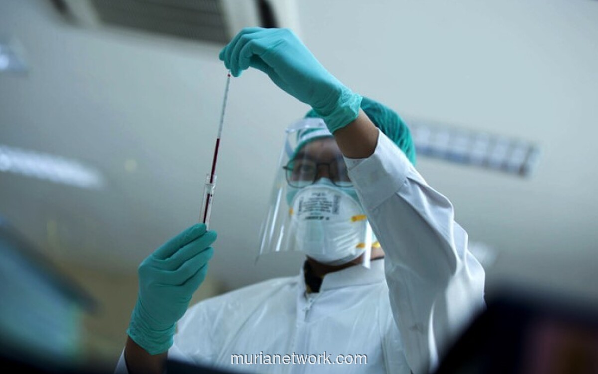 Laba Bersih Prodia Melonjak 150 Persen di Kuartal I-2026, Ditopang Permintaan Tes Diagnostik