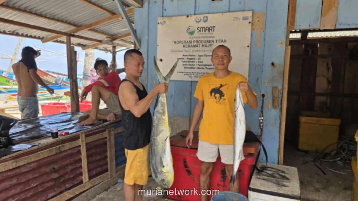 Program MBG Serap 1,5 Ton Ikan Nelayan Kaur per Bulan, Putar Ekonomi Rp90 Juta