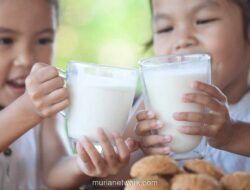 Program Makan Bergizi Dongkrak Permintaan Susu, Saham Dairy Diperkirakan Naik