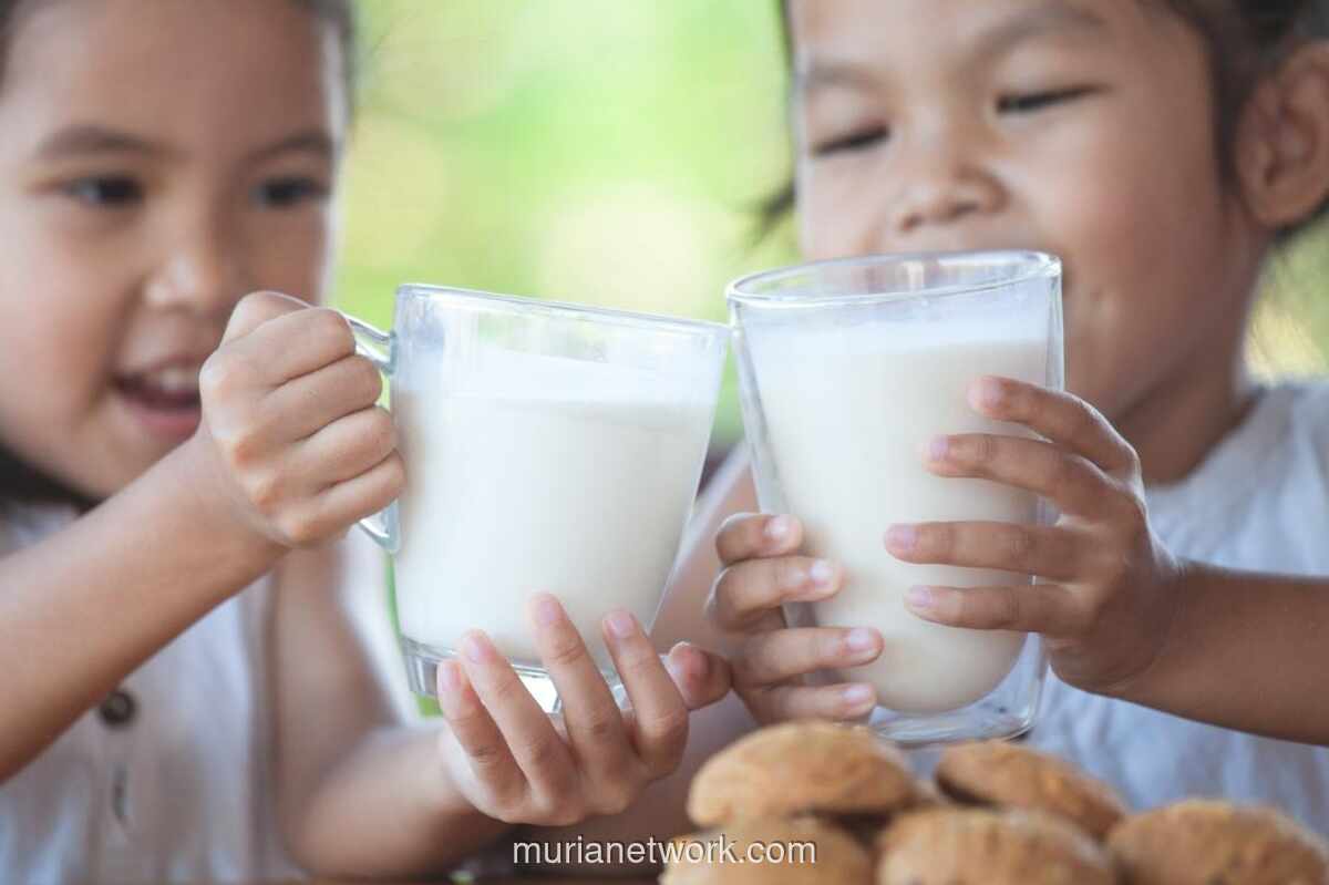 Program Makan Bergizi Dongkrak Permintaan Susu, Saham Dairy Diperkirakan Naik