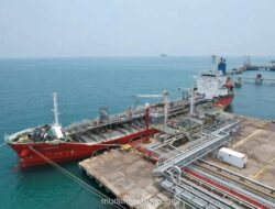 CDIA Raup Pendapatan USD41,2 Juta di Kuartal I-2026, Naik 19 Persen