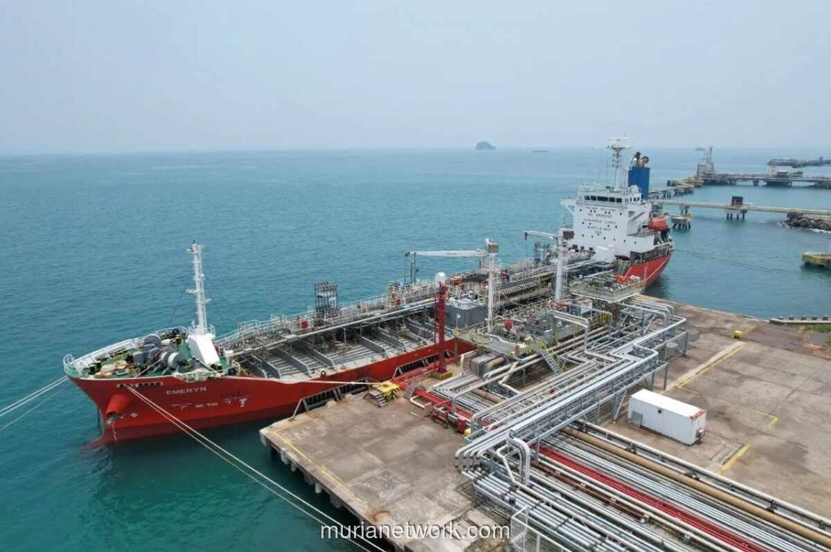 CDIA Raup Pendapatan USD41,2 Juta di Kuartal I-2026, Naik 19 Persen