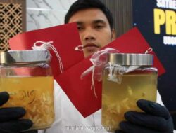 Bea Cukai Buka 300 Formasi CPNS untuk Lulusan SMA pada Mei 2026