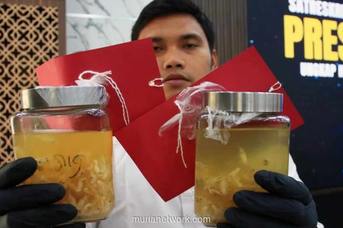 Bea Cukai Buka 300 Formasi CPNS untuk Lulusan SMA pada Mei 2026