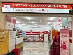 Pemerintah Buka 3.000 Lowongan Manajer untuk Koperasi Desa Merah Putih