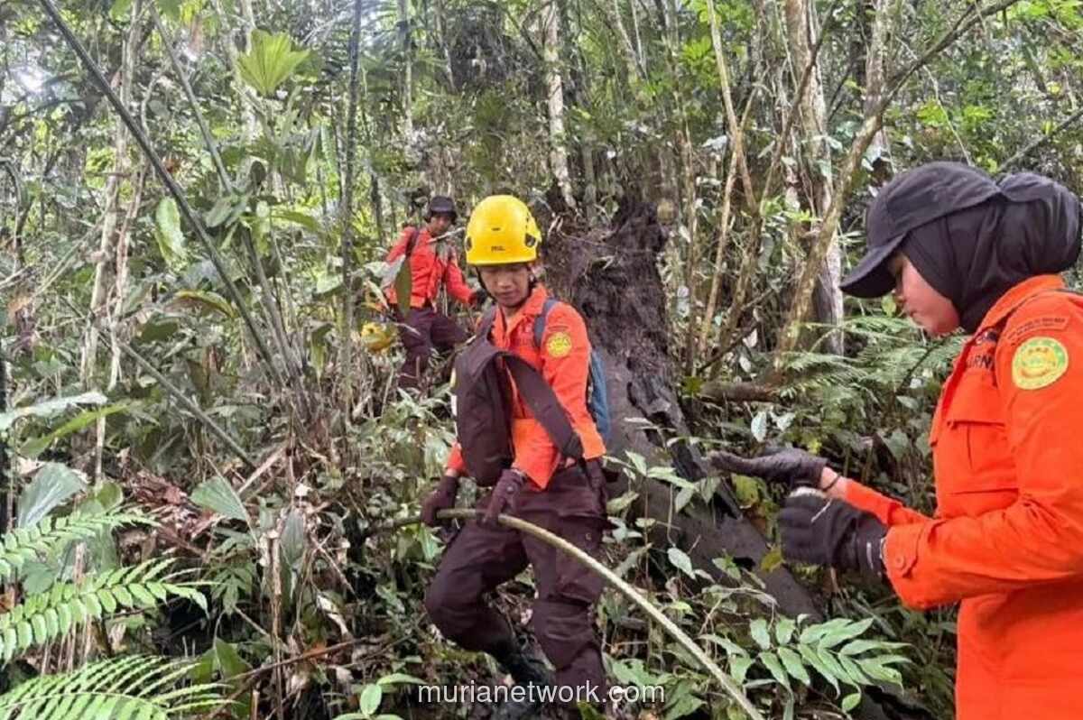 Remaja 14 Tahun Hilang di Hutan Mamuju, Pencarian Gabungan Masih Berlangsung