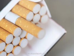 Riset: Kenaikan Cukai Rokok Selama 10 Tahun Belum Kurangi Keterjangkauan