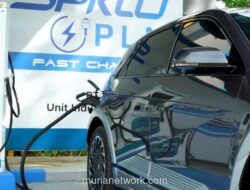 Kebijakan Insentif Pajak Mobil Listrik Dialihkan ke Daerah, INDEF dan WRI Peringatkan Risiko Kekacauan Investasi