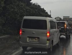 Pohon Tumbang Imbas Cuaca Ekstrem Sebabkan Macet Parah di Tol Jagorawi