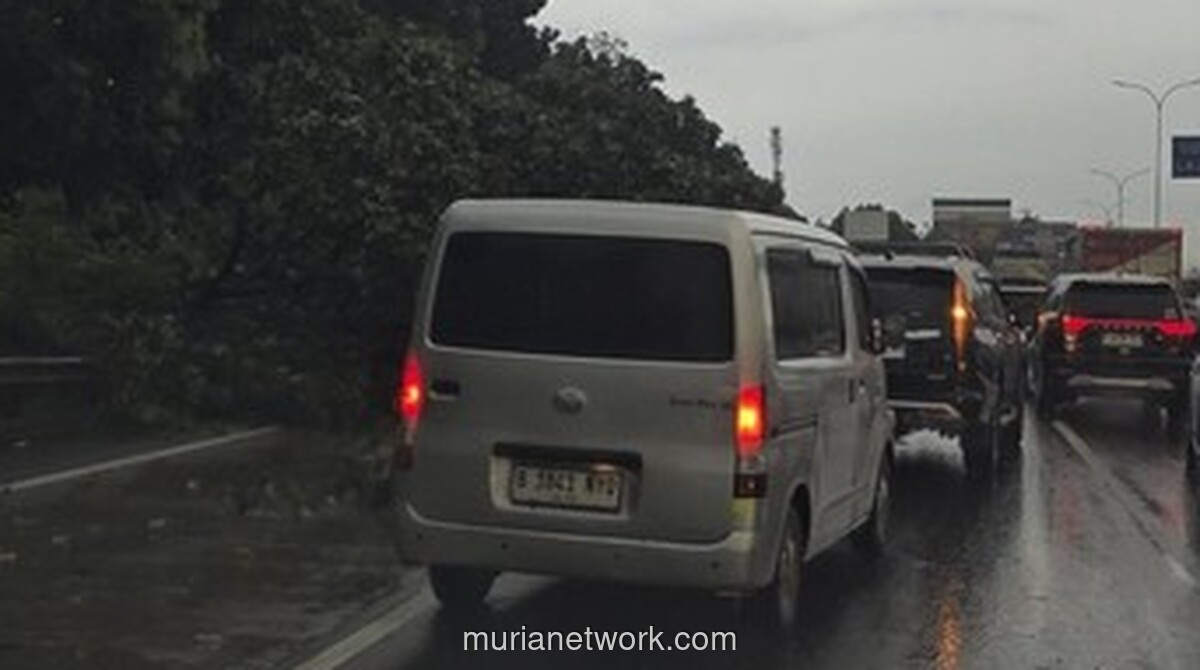 Pohon Tumbang Imbas Cuaca Ekstrem Sebabkan Macet Parah di Tol Jagorawi