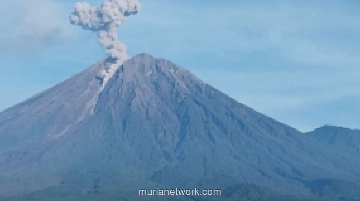 Gunung Semeru Erupsi 7 Kali dalam Satu Pagi, Status Tetap Siaga