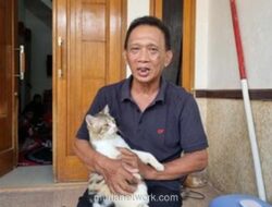 Adelia Rifani, Korban Kecelakaan KA di Bekasi, Dikenal Supel dan Pecinta 15 Kucing