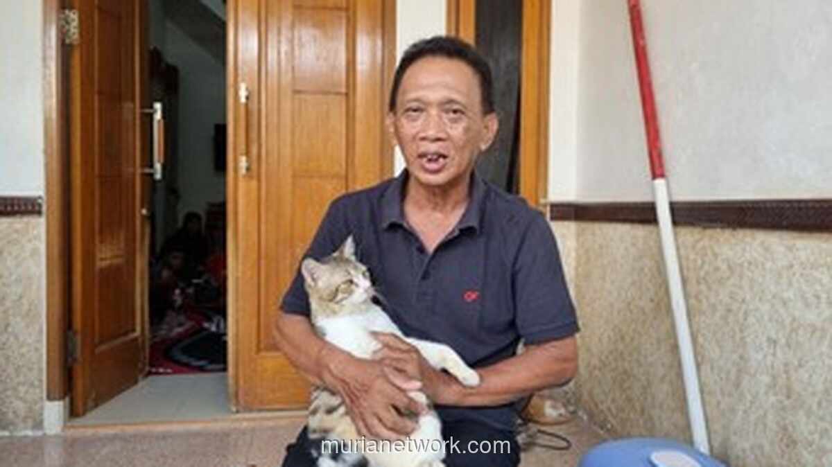 Adelia Rifani, Korban Kecelakaan KA di Bekasi, Dikenal Supel dan Pecinta 15 Kucing