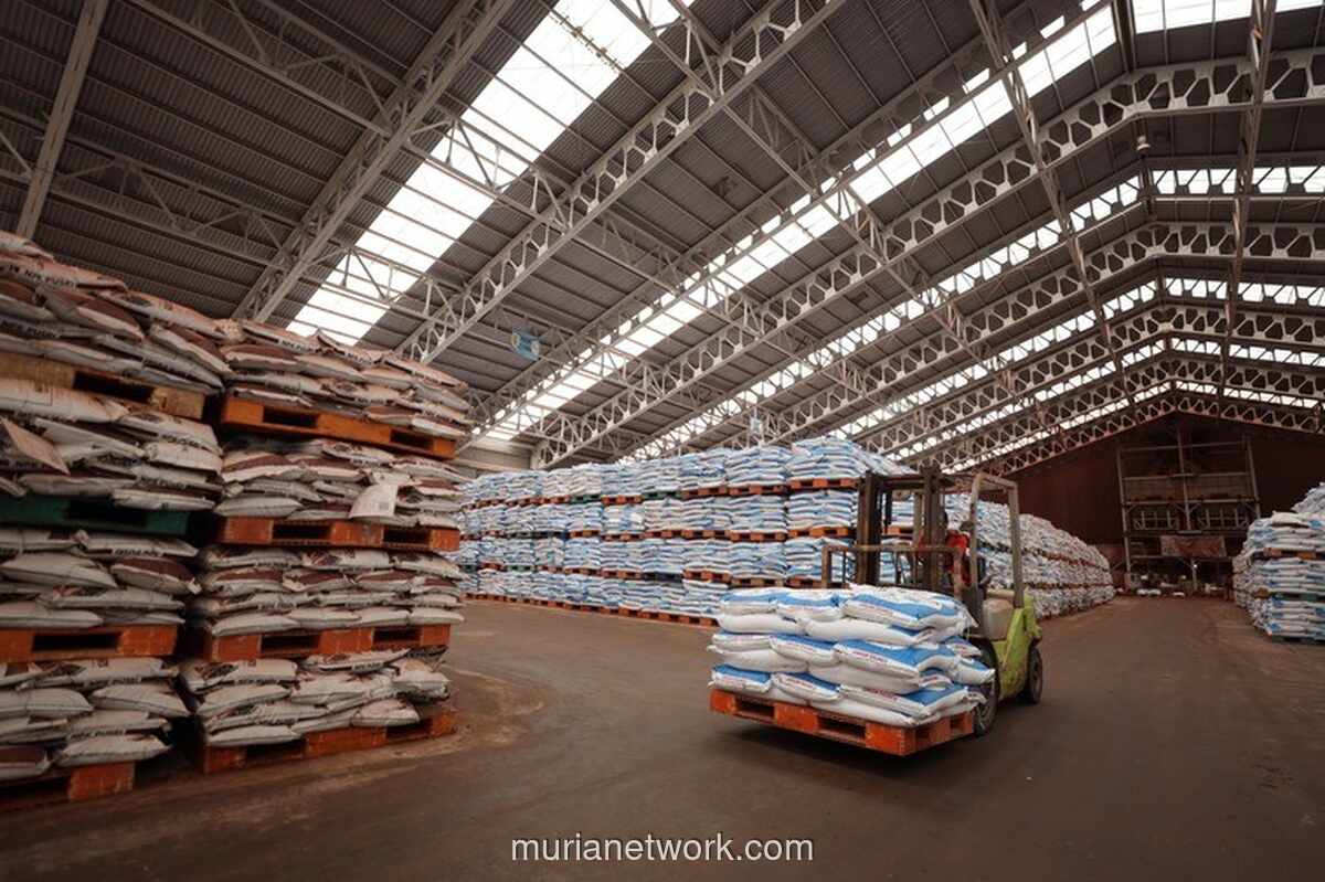 Pupuk Indonesia Tegaskan Prioritas Pasokan Domestik Sebelum Ekspor Urea