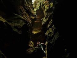 Netflix Rilis Film Thriller Survival Apex, Kisahkan Perjuangan Pendaki di Alam Liar Australia