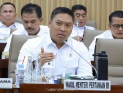 Wamen Pertanian Soroti Impor Gula Rafinasi Tekan Harga Petani