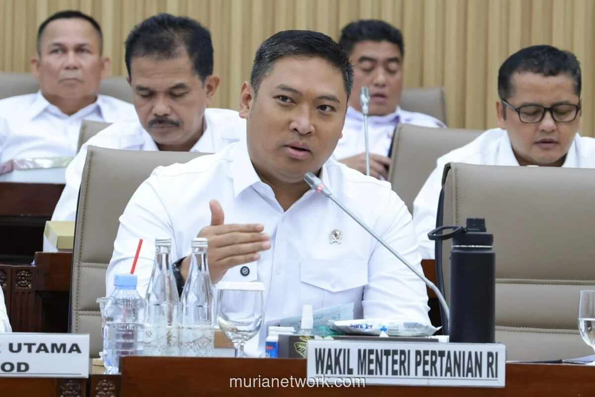 Wamen Pertanian Soroti Impor Gula Rafinasi Tekan Harga Petani