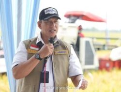 Bulog Pastikan Stok Beras Nasional Aman untuk 11 Bulan ke Depan Hadapi El Nino