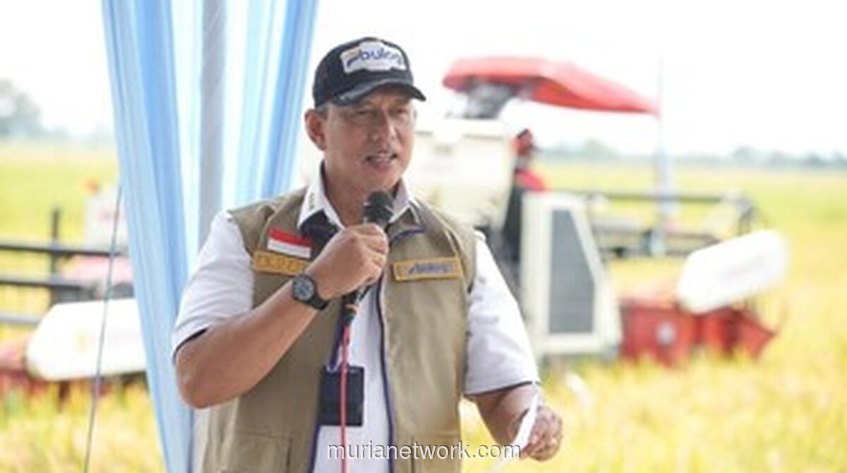 Bulog Pastikan Stok Beras Nasional Aman untuk 11 Bulan ke Depan Hadapi El Nino