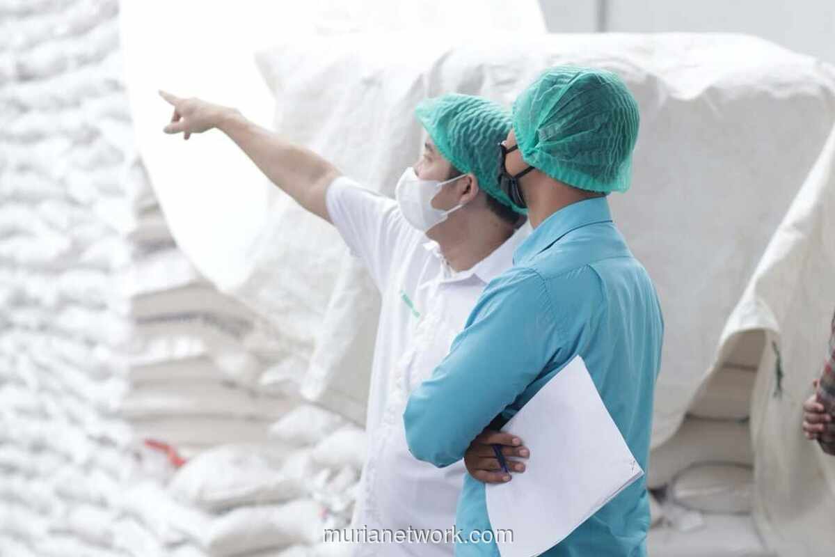 Stok Beras Bulog Tembus 5 Juta Ton, Tertinggi Sepanjang Sejarah