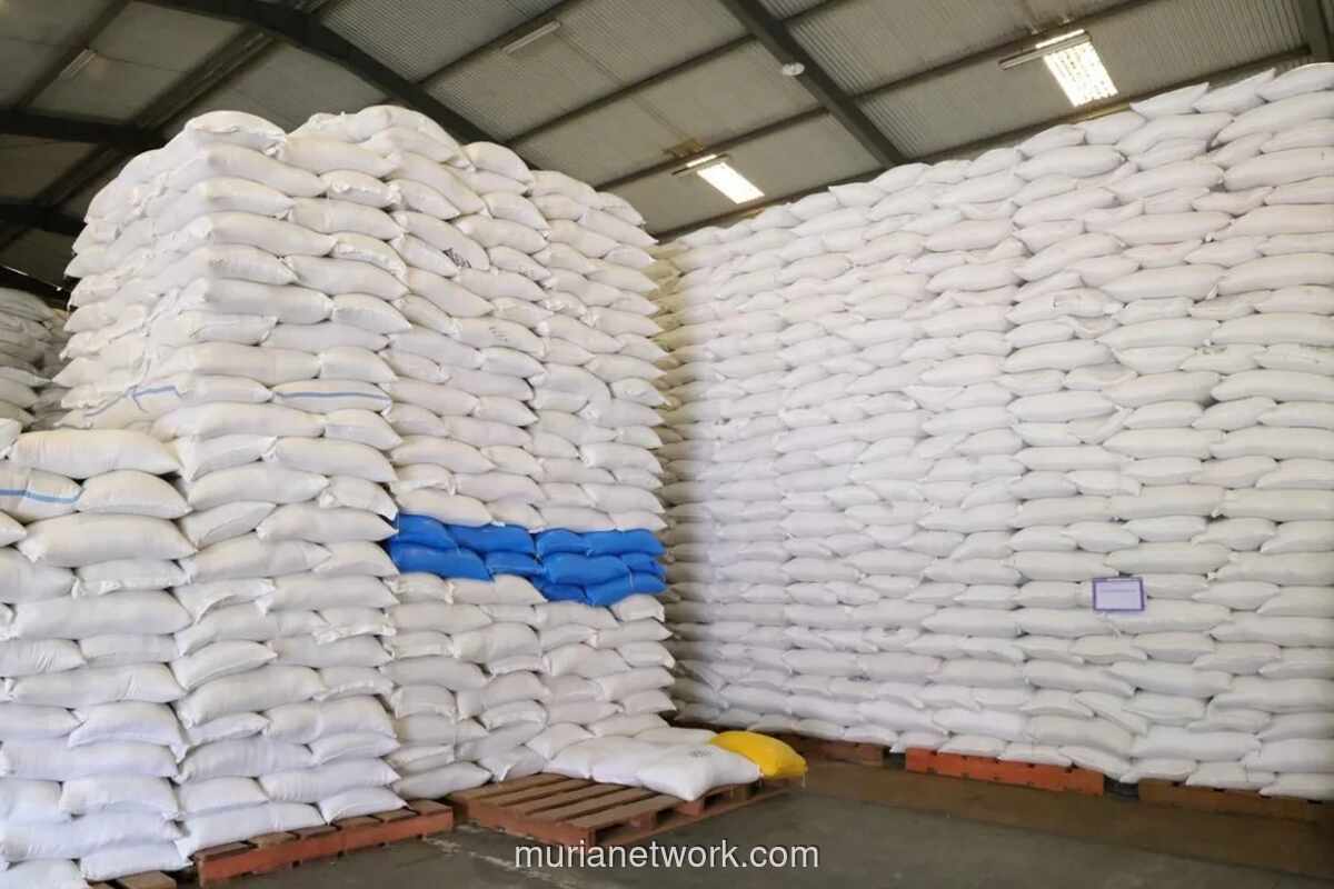 Stok Beras Nasional Melimpah hingga 5 Juta Ton, Pemerintah Percepat Penyaluran Bantuan Pangan ke 33 Juta Penerima