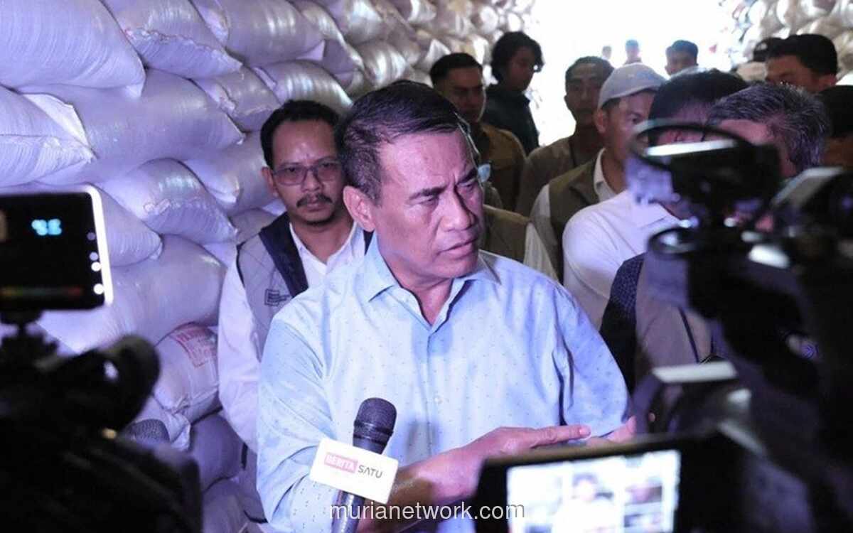 Stok Beras Pemerintah Tembus 5 Juta Ton, Tertinggi Sepanjang Sejarah