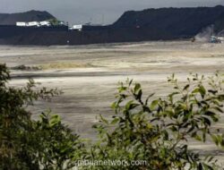 Harga Batu Bara Ikut Minyak, PTBA Targetkan Produksi 50 Juta Ton di Tengah Tekanan Biaya