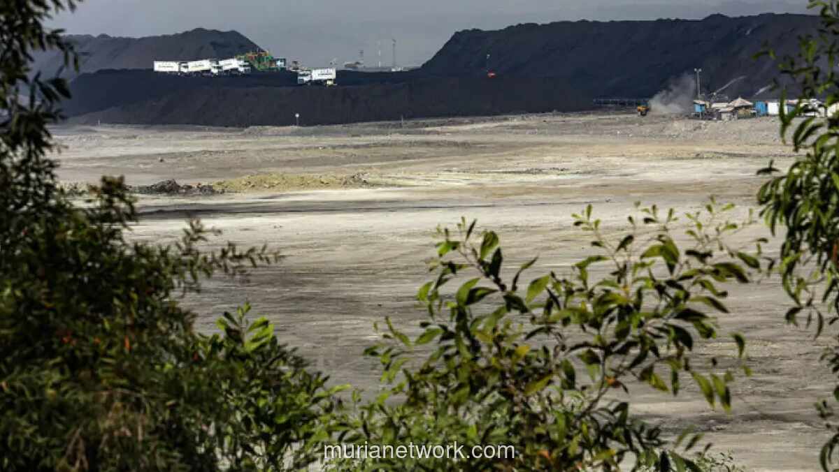 Harga Batu Bara Ikut Minyak, PTBA Targetkan Produksi 50 Juta Ton di Tengah Tekanan Biaya