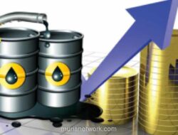 Pengamat: Desain Kelembagaan Kunci Indonesia Peringkat Kedua Ketahanan Energi Global