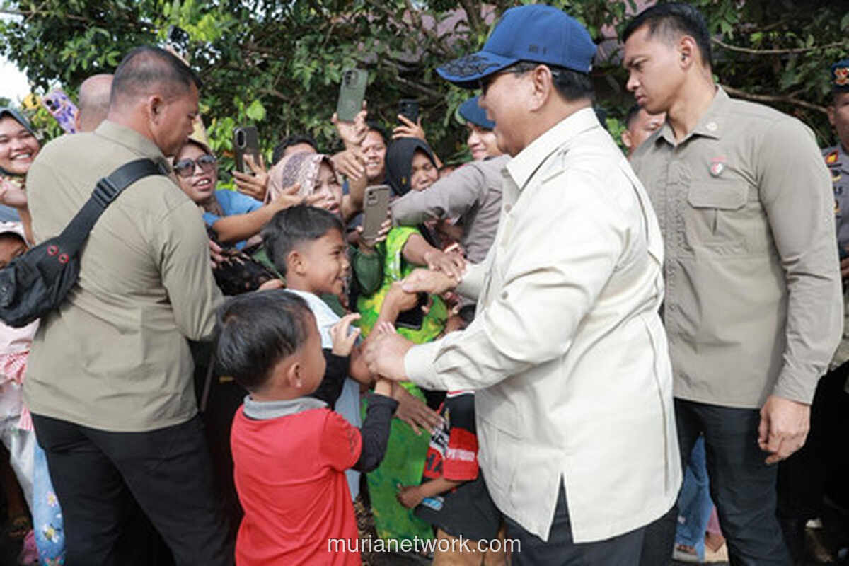 Survei Cyrus Network: Mayoritas Publik Puas dengan Penanganan Bencana Pemerintah