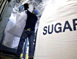 Swasembada Gula 2028 Terhambat Produktivitas Rendah dan Pabrik Tua