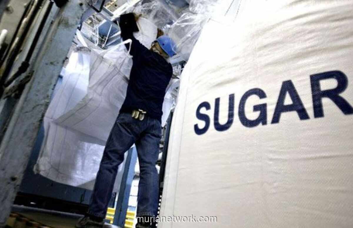 Swasembada Gula 2028 Terhambat Produktivitas Rendah dan Pabrik Tua