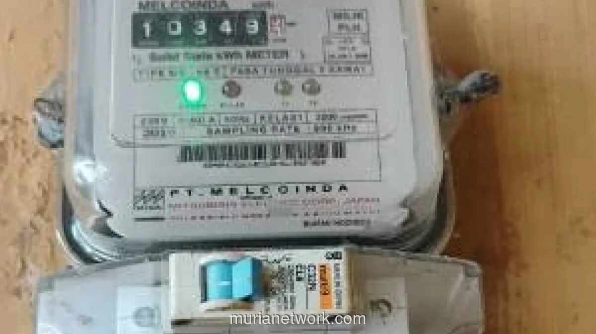 PLN Pastikan Tarif Listrik Tak Naik pada Triwulan II 2026