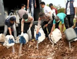 Polda NTT Musnahkan Ribuan Liter Miras Ilegal di TPA Alak