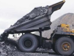 Anggota DPR Usulkan Transaksi Batu Bara DMO Pakai Rupiah untuk Kurangi Risiko Negara